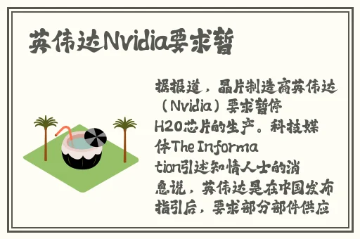 两个人的视频全免费